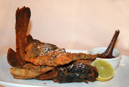 Salt & Pepper Barramundi